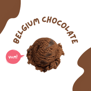Belgium Chocolate Gelato Scoop (for waffles)
