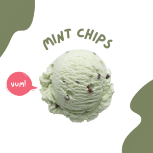 Mint Chips Premium Gelato Scoop (for waffles)